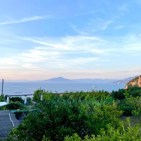 La Capperina Villa *