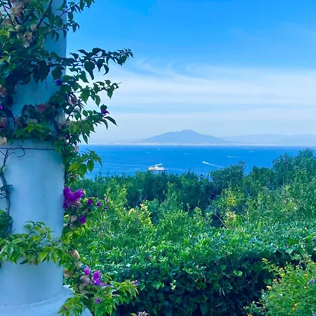 La Capperina カプリ